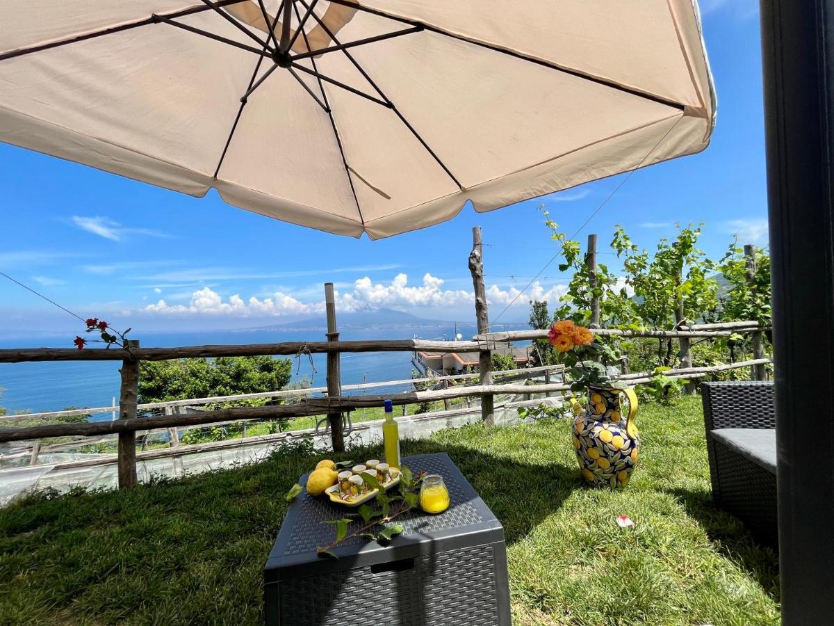 La Badia Montechiaro - Breathtaking View Of Sorrento Coast Villa Vico Equense Eksteriør billede