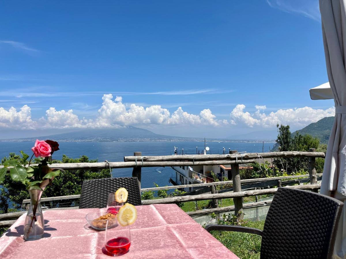 La Badia Montechiaro - Breathtaking View Of Sorrento Coast Villa Vico Equense Eksteriør billede
